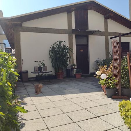 Villa Valtellina -La Casina Sondrio Exterior foto