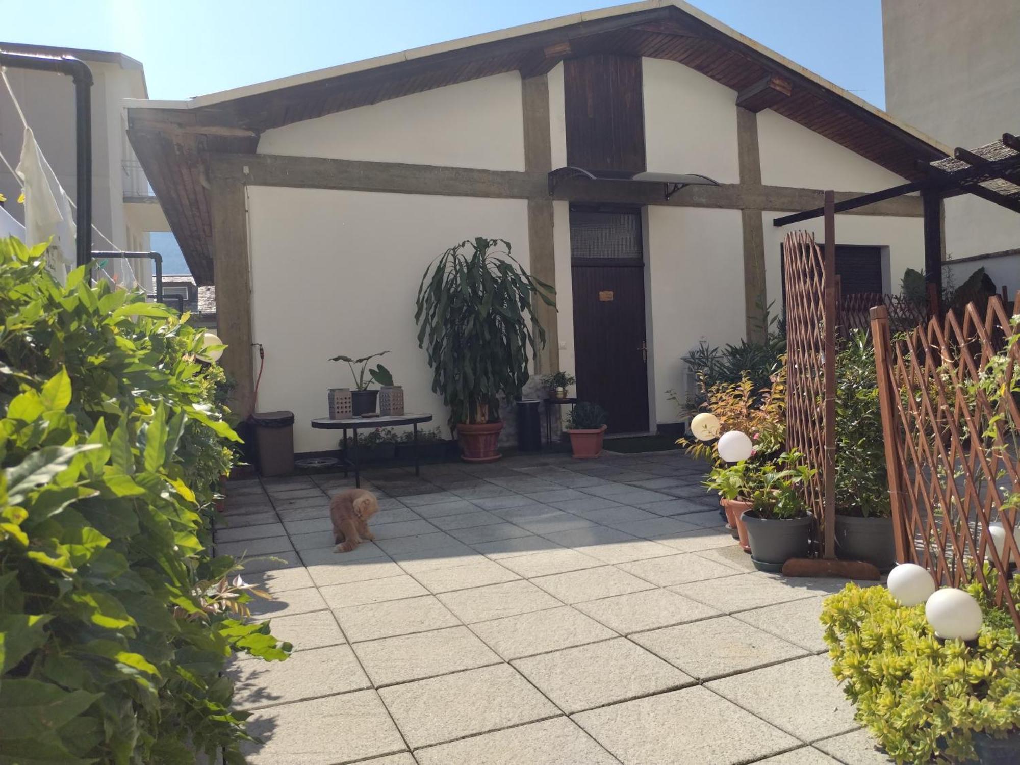 Villa Valtellina -La Casina Sondrio Exterior foto